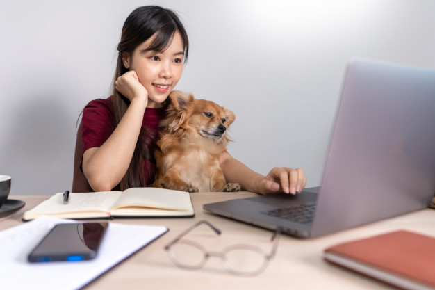 Joven hermosa mujer asiática trabajando en casa con su mascota | Foto  Premium